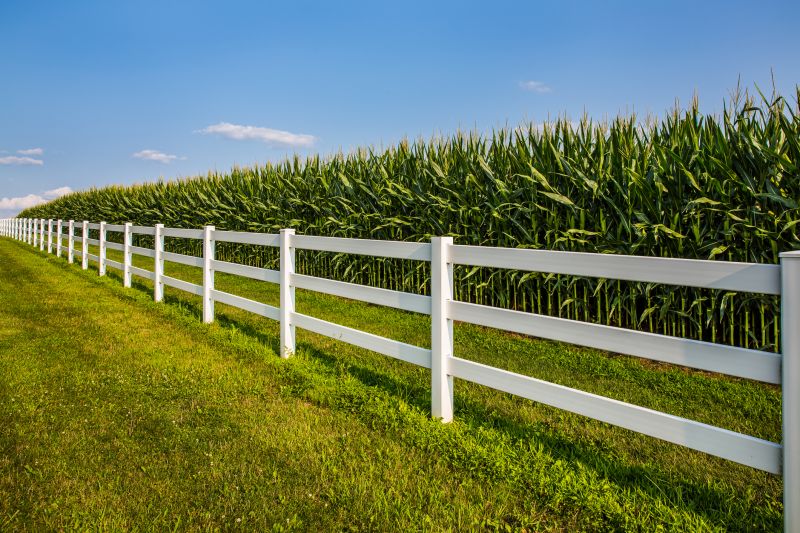Split Rail Fence