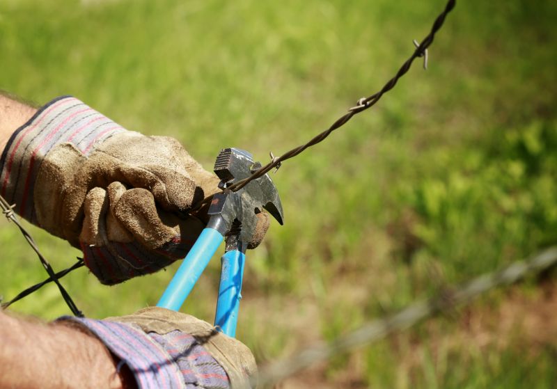 Fence Maintenance Tips
